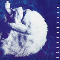 Chapterhouse Whirlpool VINYL LP White & Black Marbled