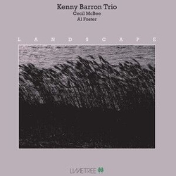 Kenny Barron Trio Landscape VINYL LP Black