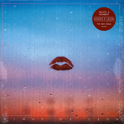 Kings Of Leon Waste A Moment VINYL 10" 