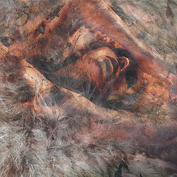Converge Unloved And Weeded Out Vinyl LP