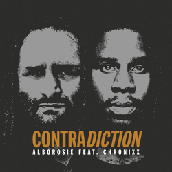Alborosie 7-Contradiction Vinyl