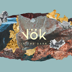 Vok In The Dark Vinyl