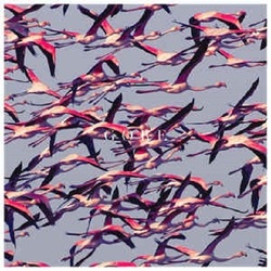 Deftones Gore Vinyl