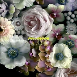 Alpines Full Bloom Vinyl