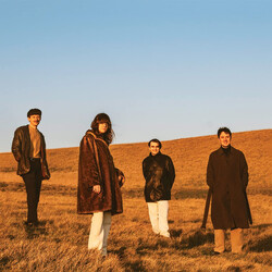 FUR (11) When You Walk Away Vinyl LP