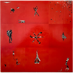 Animal Collective Hollinndagain Vinyl LP