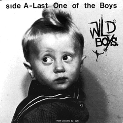 Wild Boys-Wild Boys - Last One Of The Boys B W We'Re Only Monsters VINYL LP