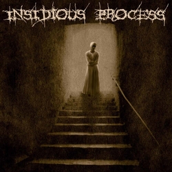 Insidious Process 7-Split Vinyl