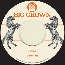 Brainstory 7-Breathe/Sorry Vinyl