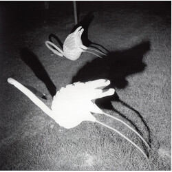 Siavash Amini A Mimesis Of Nothingness Vinyl LP