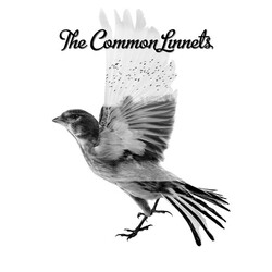 The Common Linnets The Common Linnets Vinyl LP