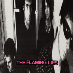 Flaming Lips In A Priest Driven Ambula Vinyl