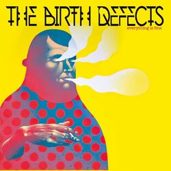 The Birth Defects Everything Is Fine Vinyl LP