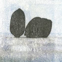 Distant Animals Lines Vinyl
