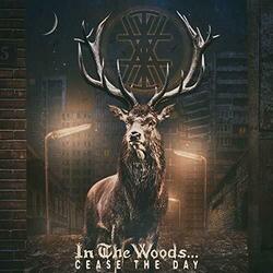 In The Woods Cease The Day -Hq- Vinyl