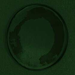 Personable Oyster Vinyl