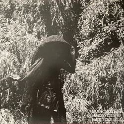 Moor Mother Analog Fluids Of Sonic Black Holes
