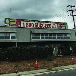 Media Jeweler 1 800 Succeed - Coloured - Vinyl