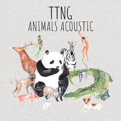 This Town Needs Guns Animals Acoustic Vinyl LP