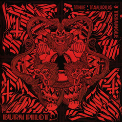 Burn Pilot The Taurus Triangle