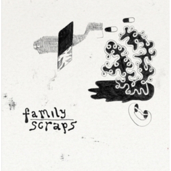 Family Scraps Mistakes Vinyl