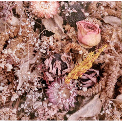 Drowse (2) Cold Air