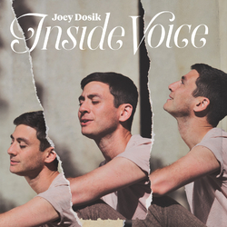 Joey Dosik Inside Voice - Coloured - Vinyl