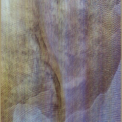 Akron/Family Sub Verses