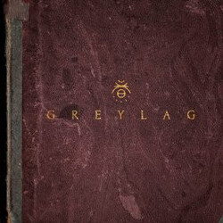 Greylag Greylag Vinyl LP