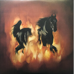 The Besnard Lakes The Besnard Lakes Are The Dark Horse Vinyl LP