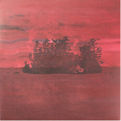 The Besnard Lakes The Besnard Lakes Are The Divine Wind