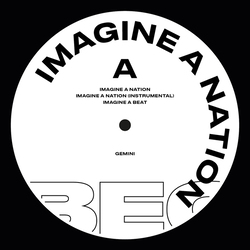 Gemini Imagine A Nation/ 'For.. Vinyl