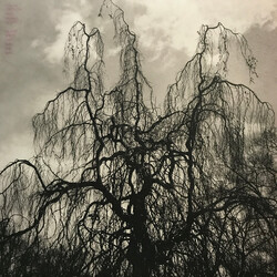 Colin Stetson / Sarah Neufeld Never Were The Way She Was