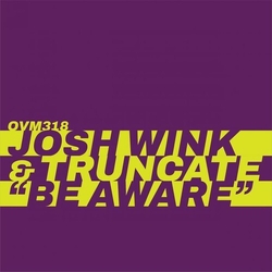 Josh Wink & Truncate Be Aware VINYL LP