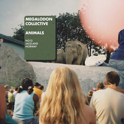 Megalodon Collective Animals