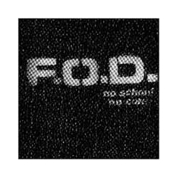 Flag Of Democracy No School  No Core Vinyl