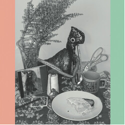 Vincent Over The Sink 22 Coloured Bull Terriers Vinyl 2 LP