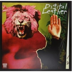 Hussy/Digital Leather Split LP -Download- Vinyl