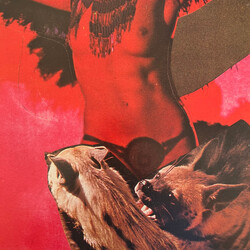 The Warlocks Heavy Deavy Skull Lover Vinyl LP