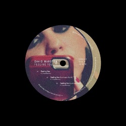 David Marston Feeling You Vinyl