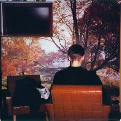 Fugazi Furniture Vinyl