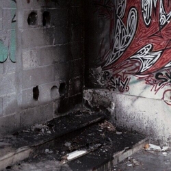 Various Artists In Trux We Pux 04 Vinyl