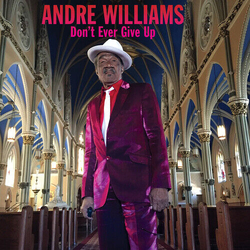 Andre Williams Don'T Ever Give Up Vinyl