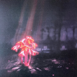 Enter Shikari A Kiss For The Whole World Vinyl LP