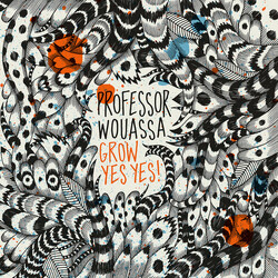 Professor Wouassa Grow Yes Yes! Vinyl 2 LP