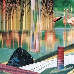 Group Rhoda Wilderless Vinyl