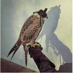 Iceage You're Nothing Vinyl LP