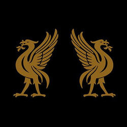 Joey Cape / Jon Snodgrass Liverbirds Vinyl