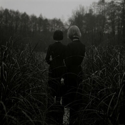 Goldmund Sometimes