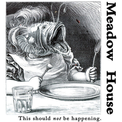 Meadow House This Should Not Be.. Vinyl